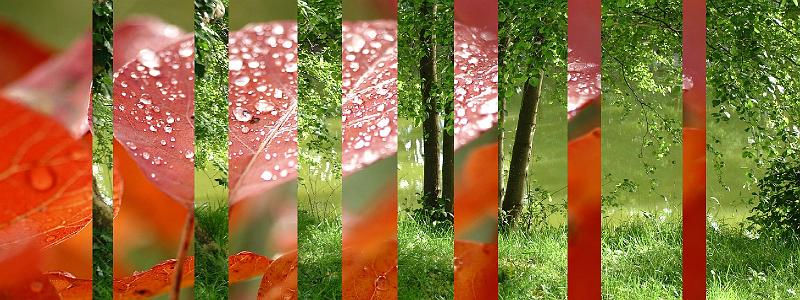 Triptique_01.jpg - Triptique trs nature