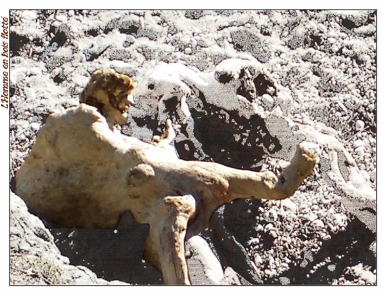 bois_flotte.jpg - Homme de bois flott