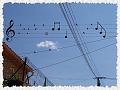 Pigeons_musiciens
