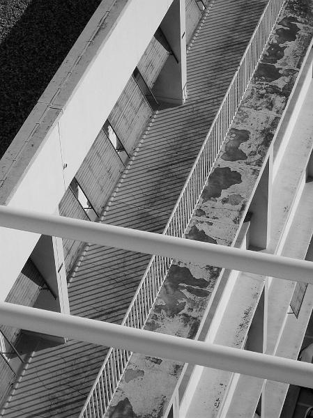 100_1110.jpg