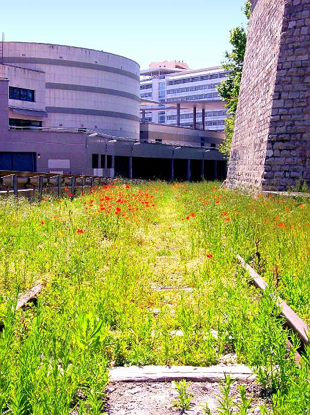 100_1444_b.jpg