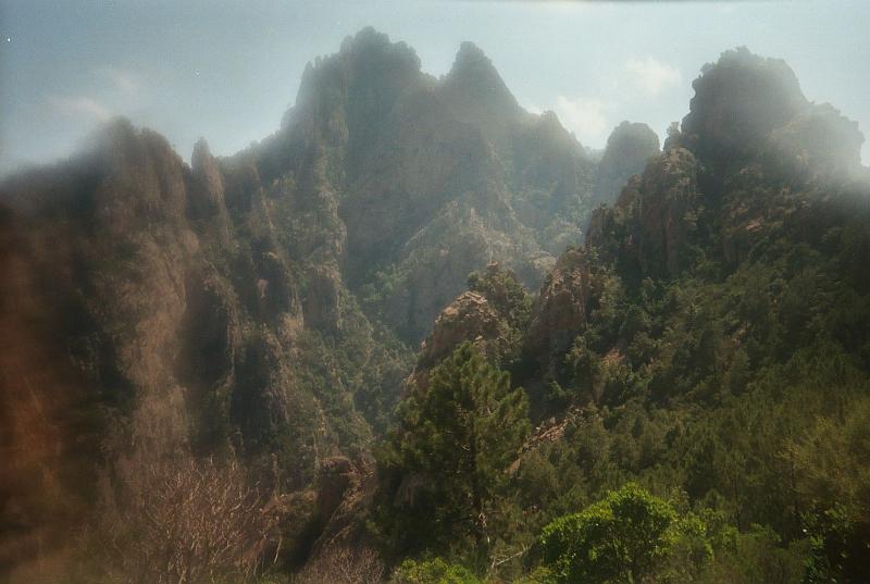 CORSE_VACCA.jpg