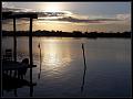 Flores-05