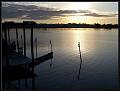 Flores-06