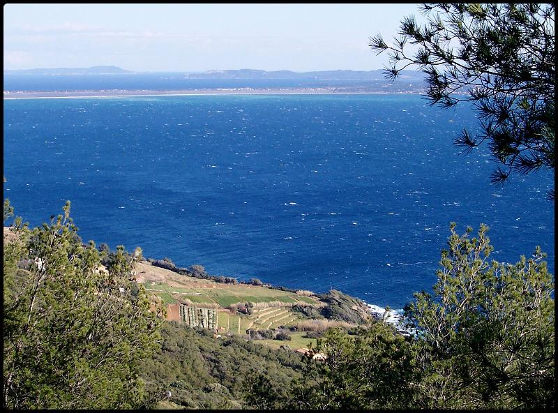 Le_canabas.jpg - FRANCE - LE CANEBAS avec Almanarre Beach en arrire plan (83)
