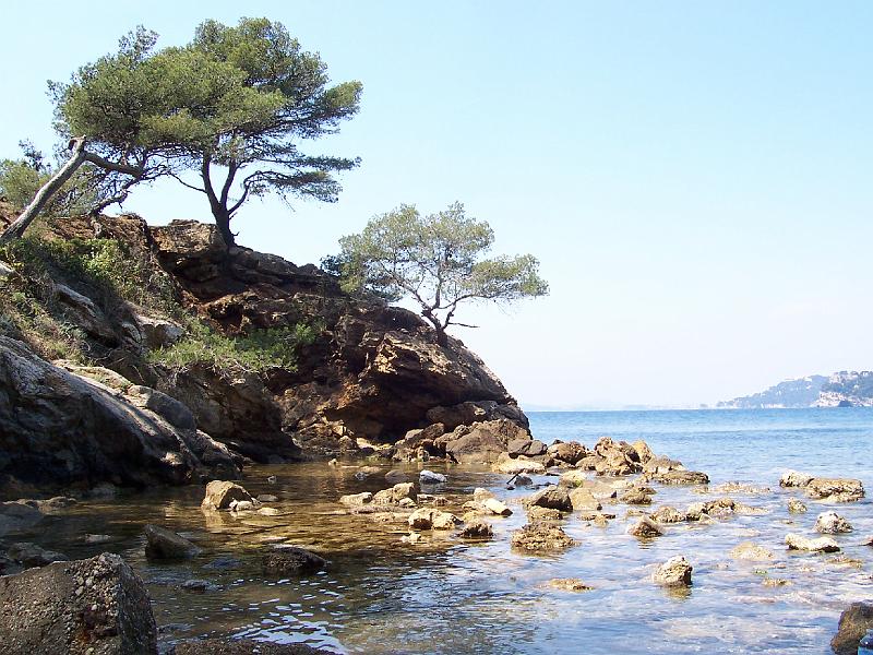 Le_pradet.jpg - FRANCE - LE PRADET (83)